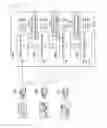 Fig. 12 - Transmission and display of image signals based on multicast transmission