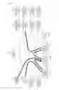 Fig. 18 - Transmission and display of image signals based on multicast transmission