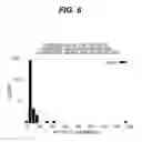 Fig. 07 - METHOD FOR DETECTING THE IMPENDING ANALYTICAL FAILURE OF NETWORKED DIAGNOSTIC CLINICAL ANALYZERS