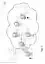 Fig. 04 - Information removal from a network