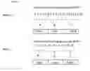 Fig. 03 - BIOINFORMATIC PROCESSES FOR DETERMINATION OF PEPTIDE BINDING