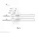 Fig. 06 - Managing gene sequences