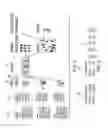 Fig. 05 - SYSTEM, METHOD AND COMPUTER READABLE MEDIUM FOR RAPID DNA IDENTIFICATION