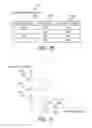 Fig. 15 - Health Care Information Process System