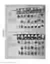 Fig. 02 - NOVEL MULTI-COMPARTMENT DOSAGE CARDS FOR SPLIT PACKAGE ADMINISTRATION