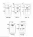 Fig. 02 - Variable image presentation for authenticating a user
