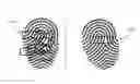 Fig. 01 - Fingerprint authentication using stitch and cut
