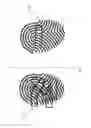 Fig. 02 - Fingerprint authentication using stitch and cut