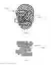 Fig. 06 - Fingerprint authentication using stitch and cut