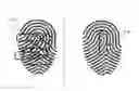 Fig. 01 - Creating templates for fingerprint authentication