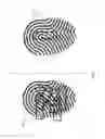 Fig. 02 - Creating templates for fingerprint authentication