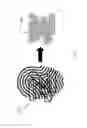 Fig. 05 - Creating templates for fingerprint authentication