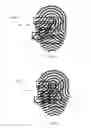 Fig. 07 - Creating templates for fingerprint authentication