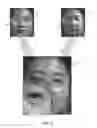 Fig. 06 - Face recognition using gradient based feature analysis