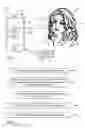 Fig. 02 - SYSTEM AND METHOD FOR ANALYSIS OF EYE MOVEMENTS USING TWO DIMENSIONAL IMAGES