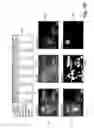 Fig. 07 - Systems and methods for computing and presenting results of visual attention modeling