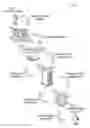 Fig. 01 - SYSTEMS AND METHODS FOR DETERMINING AN ACTUAL GEOGRAHPIC LOCATION OF A PAYMENT TRANSACTION
