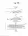 Fig. 14 - INFORMATION PROCESSING DEVICES, COMMUNICATION SYSTEM, COMMUNICATION METHOD, AND PROGRAM
