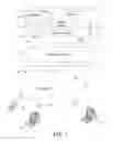 Fig. 02 - Client centric viewer