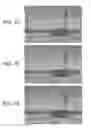 Fig. 08 - Systems and methods for a content-adaptive photo-enhancement recommender