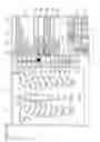 Fig. 19 - Information processing apparatus for medical information, x-ray imaging apparatus, information processing system for medical information, information processing method, and recording medium