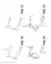 Fig. 09 - Method and system for image processing to determine patient-specific blood flow characteristics