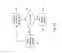 Fig. 11 - Method and system for gesture identification based on object tracing