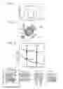 Fig. 04 - Device and method for image reconstruction at different X-ray energies, and device and method for X-ray three-dimensional measurement