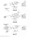 Fig. 08 - Transformation function insertion for dynamically displayed tracer data