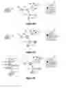 Fig. 09 - Transformation function insertion for dynamically displayed tracer data