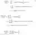 Fig. 06 - Method and system for unsupervised cross-modal medical image synthesis