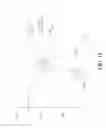 Fig. 17 - High resolution perception of content in a wide field of view of a head-mounted display