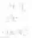 Fig. 02 - ELECTRONIC LABELLING DEVICE