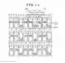 Fig. 13 - Display device, method of laying out light emitting elements, and electronic device
