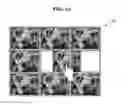 Fig. 13 - SYSTEM AND METHOD FOR MULTI-DISPLAY
