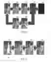Fig. 06 - Method and apparatus for controlling screen
