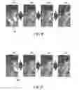 Fig. 07 - Method and apparatus for controlling screen