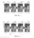 Fig. 08 - Method and apparatus for controlling screen