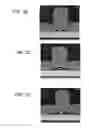 Fig. 06 - Devices including an amorphous gas barrier layer