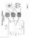 Fig. 02 - Density multiplication and improved lithography by directed block copolymer assembly