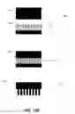 Fig. 16 - Density multiplication and improved lithography by directed block copolymer assembly