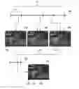 Fig. 01 - Dynamic video summarization
