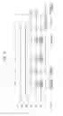 Fig. 06 - Semiconductor device capable of rescuing defective characteristics occurring after packaging