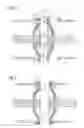 Fig. 02 - Insulating system and assembly method for an insulating system
