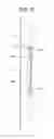 Fig. 06 - Stationary Induction Apparatus