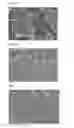 Fig. 09 - CERAMIC ELECTRONIC COMPONENT AND METHOD FOR PRODUCING THE SAME