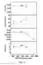 Fig. 05 - Metal halide solid-state surface treatment for nanocrystal materials
