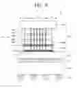 Fig. 08 - Semiconductor package and semiconductor device including the same