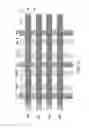 Fig. 06 - Virtual ground non-volatile memory array