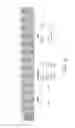 Fig. 10 - Virtual ground non-volatile memory array